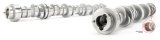 COMP Cams Stage 1 LST Series Hydraulic Roller Camshafts 224-300-13 Camshaft, LST, Tappet, Advertised Duration 282/287, Lift .650/.639, Chevy, Small Block, Each thumbnail 4