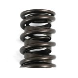 COMP Cams Valve Springs 26929-16 Springs, Dual, 1.560 in. O.D., Set of 16 thumbnail 1