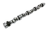 COMP Cams Xtreme Energy Camshafts 51-433-11 Camshaft, Hydraulic Roller Tappet, Advertised Duration 288/294, Lift .520/.540, Pontiac, V8, Each thumbnail 3