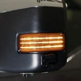Diode Dynamics LED Accent Lights FL0036 2017 F-250 Mirror (pair) thumbnail 1