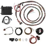 Holley HP EFI ECU and Harness Kits 550-605 Engine Management Systems, EFI, Harness, Up to 16-Injectors, 8-Coils, Four Digital Inputs, Wideband, CANBUS, Universal, Un-terminated, Kit thumbnail 3