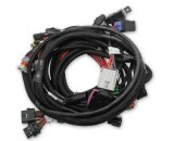 Holley EFI Systems Main Wiring Harnesses 558-122 Fuel Injection System Harnesses, EFI, Coyote Ti-VCT, Harness, Plug-and-Play, Drive-by-Wire, with Smart Coils, Ford, 5.0L Kit thumbnail 1