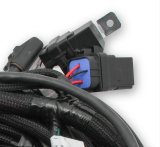 Holley EFI Systems Main Wiring Harnesses 558-122 Fuel Injection System Harnesses, EFI, Coyote Ti-VCT, Harness, Plug-and-Play, Drive-by-Wire, with Smart Coils, Ford, 5.0L Kit thumbnail 2