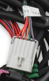 Holley EFI Systems Main Wiring Harnesses 558-122 Fuel Injection System Harnesses, EFI, Coyote Ti-VCT, Harness, Plug-and-Play, Drive-by-Wire, with Smart Coils, Ford, 5.0L Kit thumbnail 3