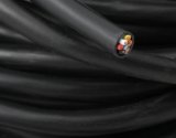 Holley Shielded Cable Conductor Wires 572-101 Electrical Wires, EFI, Cable, Black Jacket, 7-conductor, Five 18 gauge Wires, Two 20 gauge Wires, Wideband, 100 ft. Spool, Each thumbnail 2