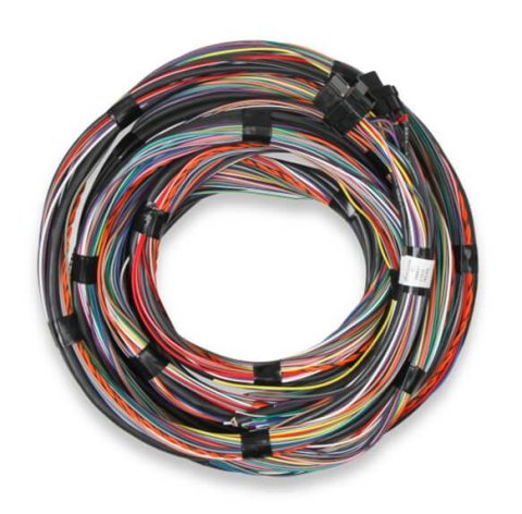 Holley EFI Unterminated Main Harnesses 558-126 Wiring Harnesses, EFI, Harness, Unterminated, Flying Lead, 15 ft. Long, J1A/J1B Connectors, Plug Seals Included, Universal, Each thumbnail 1