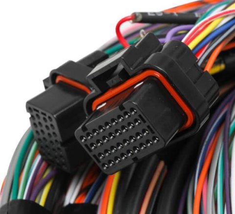 Holley EFI Unterminated Main Harnesses 558-126 Wiring Harnesses, EFI, Harness, Unterminated, Flying Lead, 15 ft. Long, J1A/J1B Connectors, Plug Seals Included, Universal, Each thumbnail 3