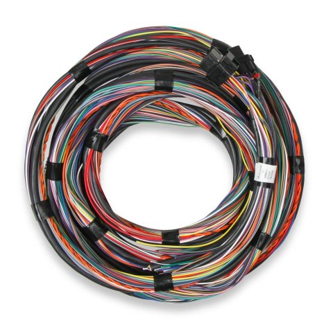 Holley EFI Unterminated Main Harnesses 558-126 Wiring Harnesses, EFI, Harness, Unterminated, Flying Lead, 15 ft. Long, J1A/J1B Connectors, Plug Seals Included, Universal, Each thumbnail 6