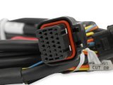 Holley Drive-By-Wire Throttle Body Wiring Harnesses 558-461 Fuel Injection System Harnesses, EFI, Ford GT500, 3V Drive-by-Wire, Harness, Plug-and-Play, Ford, Mustang, 4.6L, 5.4L, Kit thumbnail 3