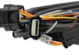Holley Drive-By-Wire Throttle Body Wiring Harnesses 558-461 Fuel Injection System Harnesses, EFI, Ford GT500, 3V Drive-by-Wire, Harness, Plug-and-Play, Ford, Mustang, 4.6L, 5.4L, Kit thumbnail 4