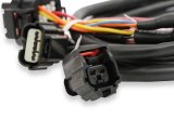 Holley Drive-By-Wire Throttle Body Wiring Harnesses 558-461 Fuel Injection System Harnesses, EFI, Ford GT500, 3V Drive-by-Wire, Harness, Plug-and-Play, Ford, Mustang, 4.6L, 5.4L, Kit thumbnail 6