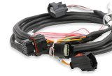 Holley Drive-By-Wire Throttle Body Wiring Harnesses 558-461 Fuel Injection System Harnesses, EFI, Ford GT500, 3V Drive-by-Wire, Harness, Plug-and-Play, Ford, Mustang, 4.6L, 5.4L, Kit thumbnail 7