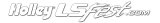 Holley Decals 36-403 Decals, Windshield Decal, LS Fest.com, White, 24 in. Long, 3.5 in. Tall, Each thumbnail 2