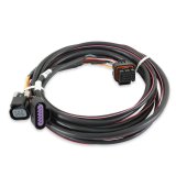 Holley EFI Systems Wiring Harnesses 558-406 Fuel Injection Harnesses, EFI, Drive-by-Wire Harness, GM LSx, for Dominator Systems, Each thumbnail 3