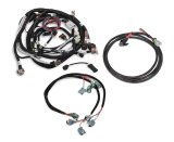 Holley Replacement Fuel Injector Wiring Harnesses 558-501 Injection System Harnesses, EFI, GM LS 58X Crank Sensor, Includes Power, EV6 Injector, Main Harnesses, for HP, Dominator ECUs, Kit thumbnail 1