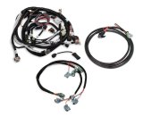 Holley Replacement Fuel Injector Wiring Harnesses 558-501 Injection System Harnesses, EFI, GM LS 58X Crank Sensor, Includes Power, EV6 Injector, Main Harnesses, for HP, Dominator ECUs, Kit thumbnail 2