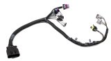 Holley EFI Systems Wiring Harnesses 558-439 Fuel Injection System Harnesses, EFI, Terminator, Throttle Body Systems, Plug-and-Play, Upgrade Harness, for 205 lb./hr. Injectors, Each thumbnail 1