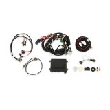 Holley HP EFI ECU and Harness Kits 550-601N Engine Management Systems, EFI, Harness, Up to 16-Injectors, 8-Coils, Four Digital Inputs, O2 Sensor, for GM TPI, Stealth Ram, Kit thumbnail 2