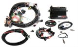 Holley HP EFI ECU and Harness Kits 550-602N Engine Management Systems, EFI, Harness, Up to 16-Injectors, 8-Coils, Four Digital Inputs, NKT O2 Sensor, GM, LS, 24x Crank Sensor, Kit thumbnail 1