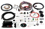 Holley HP EFI ECU and Harness Kits 550-605N Engine Management Systems, EFI, Harness, Up to 16-Injectors, 8-Coils, Four Digital Inputs, NTK O2, Wideband, Universal, Un-terminated, Kit thumbnail 1