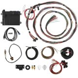 Holley HP EFI ECU and Harness Kits 550-605N Engine Management Systems, EFI, Harness, Up to 16-Injectors, 8-Coils, Four Digital Inputs, NTK O2, Wideband, Universal, Un-terminated, Kit thumbnail 2