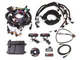 Holley HP EFI ECU and Harness Kits 550-616 Engine Management Systems, EFI, Harness, Connects 16-Injectors, 8-Coils, Bosch O2, Wideband, Ford, Lincoln, Mercury, 2V, 4.6L, 5.4L, Kit thumbnail 2