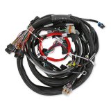 Holley LS Extended-Length Main Engine Harnesses 558-133 Wiring Harnesses, EFI, LS1/6, 24X/1X, Harness, Plug-and-Play, Extended Length, for Dominator/HP EFI Systems, Chevy, 4.8-6.0L, Each thumbnail 1