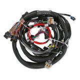 Holley LS Extended-Length Main Engine Harnesses 558-133 Wiring Harnesses, EFI, LS1/6, 24X/1X, Harness, Plug-and-Play, Extended Length, for Dominator/HP EFI Systems, Chevy, 4.8-6.0L, Each thumbnail 6