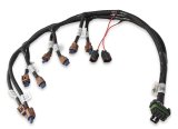 Holley Ford Modular Ignition Coil Harnesses 558-322 Wiring Harnesses, EFI, Coyote Ti-VCT, Harness, OE Connectors, Plug-and-Play, for HP EFI, Dominator EFI, Ford, 5.0L, Each thumbnail 6