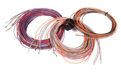 Holley Dominator EFI Auxiliary Harnesses 558-403 Fuel Injection Systems Wiring Harnesses, EFI, J3 Harness, MPFI, Speed Density/Throttle, 17 Input/Outputs, Connector Included, Kit