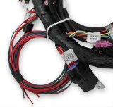Holley EFI Systems Main Wiring Harnesses 558-110 Harnesses, EFI, Coyote, with TI-VCT/Stock Coils, Harness, MPFI, for HP, Dominator, Systems, Ford, 5.0L, Each thumbnail 1