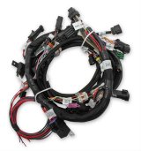 Holley EFI Systems Main Wiring Harnesses 558-110 Harnesses, EFI, Coyote, with TI-VCT/Stock Coils, Harness, MPFI, for HP, Dominator, Systems, Ford, 5.0L, Each thumbnail 3