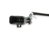 Holley EFI Pro-Billet Ignition Adapters 558-325 Wiring Harnesses, EFI, Adapter, Plug-and-Play, Main Harness to Terminator X System, Each thumbnail 2