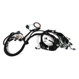Holley EFI Systems Main Wiring Harnesses 558-140 Harnesses, EFI, Harness with Stock Coils, 7.3L Godzilla, Ford Each thumbnail 1