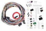 Holley EFI Systems Wiring Harnesses 558-105 Harnesses, EFI, Universal, Unterminated, Main Harness, Multi-port Fuel Injection, for HP, Dominator, Systems, with Connectors, Each thumbnail 1