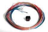 Holley Dominator EFI Auxiliary Harnesses 558-402 Fuel Injection Systems Wiring Harnesses, EFI, J2B Harness, 8 Additional Inputs, 23 Outputs, Connector Included, Kit thumbnail 2