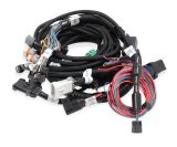 Holley EFI Systems Wiring Harnesses 558-113 Harnesses, EFI, Ford 2V/4V Modular, Main Harness, Multi-Port Fuel Injection, for Smart Coils, HP System, Ford, 4.6-5.4L, Each thumbnail 2