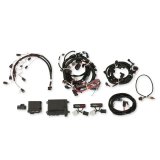 Holley HP EFI ECU and Harness Kits 550-625N Engine Management Systems, EFI, Harness, Up to 16-Injectors, 8-Coils, NTK O2 Sensor, Wideband, CANBUS, Ford, 4-valve, 5.0L, Kit thumbnail 2