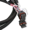 Holley Replacement Fuel Injector Wiring Harnesses 558-219 Injection System Harnesses, EFI, Replacement, Driver harness, Plug-and-Play, MPFI, JB2 Connector, for Dominator ECU, Each thumbnail 1