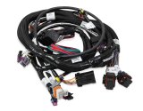 Holley EFI Systems Wiring Harnesses 558-112 Harnesses, EFI, Main Harness, 58X LS TBI, , for Terminator, Terminator Stealth, Throttle Body Systems, Chevy, Each thumbnail 2
