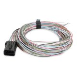 Holley J1A/B Dominator Auxiliary Wiring Harnesses 558-400 Fuel Injection System Harnesses, EFI, Replacement, Harness, Inputs/Outputs, for Terminator, EFI Systems, Each thumbnail 3