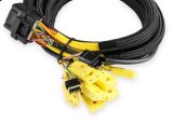 Holley EFI 8-Channel CAN EGT Controllers 554-190 Data Acquisition, EFI, 8-Channel, EGT, Controller Only, 4 ft. Wire Harness, for HP, Dominator, Systems, Each thumbnail 3