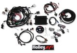 Holley EFI Systems Wiring Harnesses 550-617N Engine Management Systems, HP EFI, ECU and Harness, Up to 16-Injectors, 8-Coils, NTK O2 Sensor, Wideband, CANBUS, Ford, 4-valve, 4.6L, 5.4L, Kit thumbnail 1