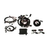 Holley EFI Systems Wiring Harnesses 550-617N Engine Management Systems, HP EFI, ECU and Harness, Up to 16-Injectors, 8-Coils, NTK O2 Sensor, Wideband, CANBUS, Ford, 4-valve, 4.6L, 5.4L, Kit thumbnail 2