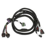 Holley EFI GM Gen V GDI Sub Harnesses 558-221 Wiring Harnesses, EFI, V, Late, Sub-Harness, Direct Injection, Pre-Terminated, 4-pin Fuel Sensor, GM, Late LT Based, Engines, Each thumbnail 2