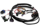 Holley EFI Systems Wiring Harnesses 558-414 Fuel Injection System Harnesses, EFI, Replacement, Main Harness, Terminator Systems, Model 550-405, 550-406, Each thumbnail 1