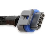 Holley LS Coil Harnesses 558-321 Ignition Wiring Harnesses, EFI, Replacement, Harness, Plug-and-Play, OE Connectors, Not for LS1/LS6, Chevy, Engine, Pair thumbnail 2