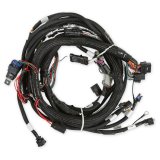 Holley EFI Terminator X LT Main Engine Harnesses 558-129 Wiring Harnesses, EFI, Gen V, Engine, Harness, for X, Max, ECU Only, Chevy, 5.3L, 6.2L, Each thumbnail 2