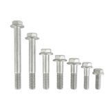 Holley LSA Accessory Drive Hardware Kits 97-263 Engine Bracket Components, Replacement, Supercharged Drive, Bolt Kit, Steel, Nickel Finish, Chevy, 6.2L, Kit thumbnail 2