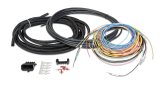 Holley EFI Systems Wiring Harnesses 558-306 Fuel Injection System Harnesses, EFI, Unterminated, Ignition Harness, with Pins, Seals, Connector, for HP, Dominator Systems, Kit thumbnail 1